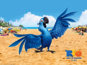 Blu Bird in Rio