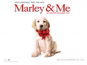 Marley & Me Dog