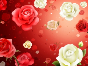 Roses HD Widescreen