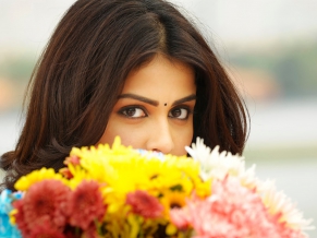 Genelia in Telugu Movie