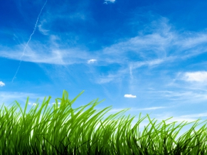 Blue Sky Green Grass 1