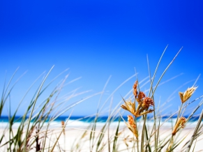 Clear Beach Sky