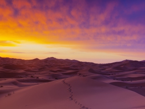 Sahara Desert S Dunes