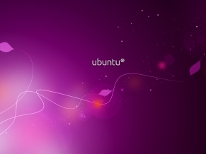 Ubuntu Purple