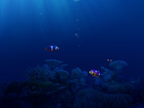 Life Underwater