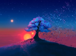 Mystic Tree Sunset