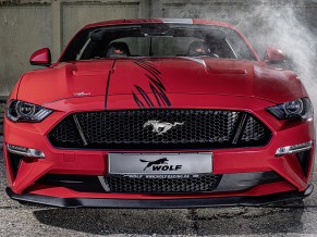 Wolf Racing Ford Mustang One of 7 2019