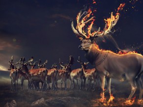 Fantasy Deers