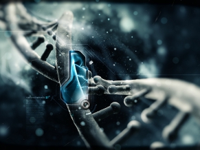 DNA Nano Tech