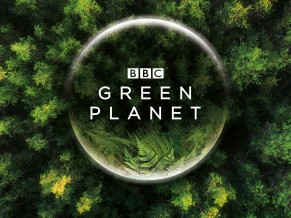 BBC Green Planet 4K