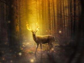 Deer Fantasy 4K