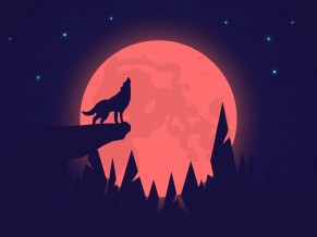 Howling Wolf Night Moon 4K