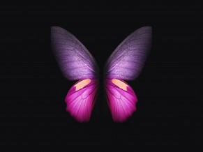 Samsung Galaxy Fold Pink Butterfly 4K
