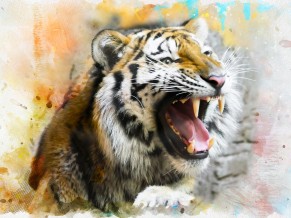 Tiger Splash Art 4K