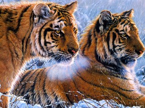 Tigers Oil paint 4K