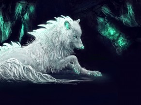White Arctic Wolf 5K