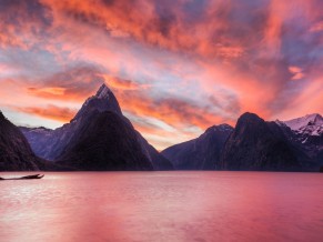 The Milky Pink Sea at Milford Sound New Zeal 4K 5K HD