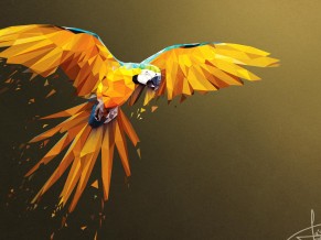 Macaw Lowpoly Art 4K