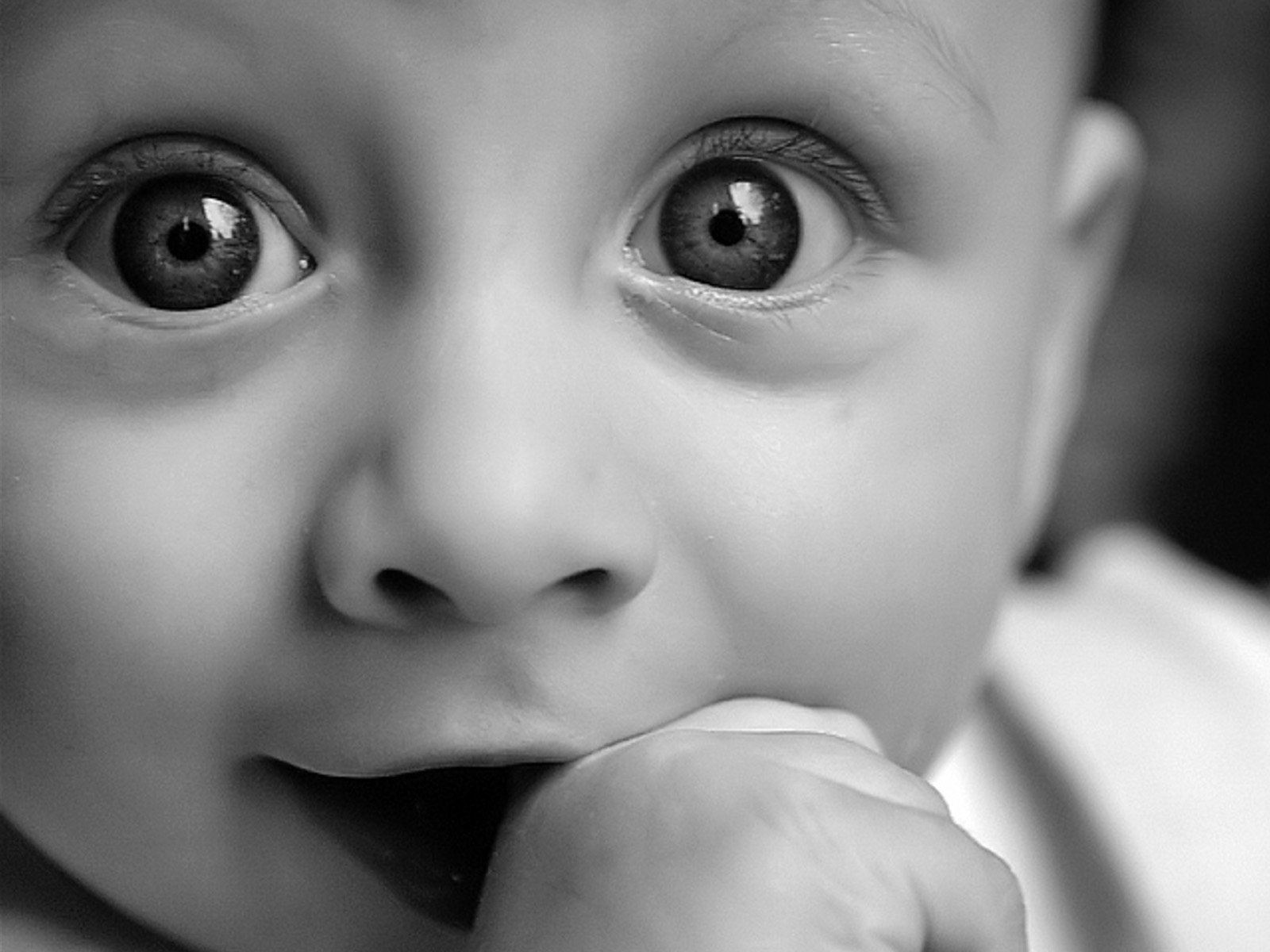 Amazing cute baby cute eyes Wallpapers | Wallpapers HD