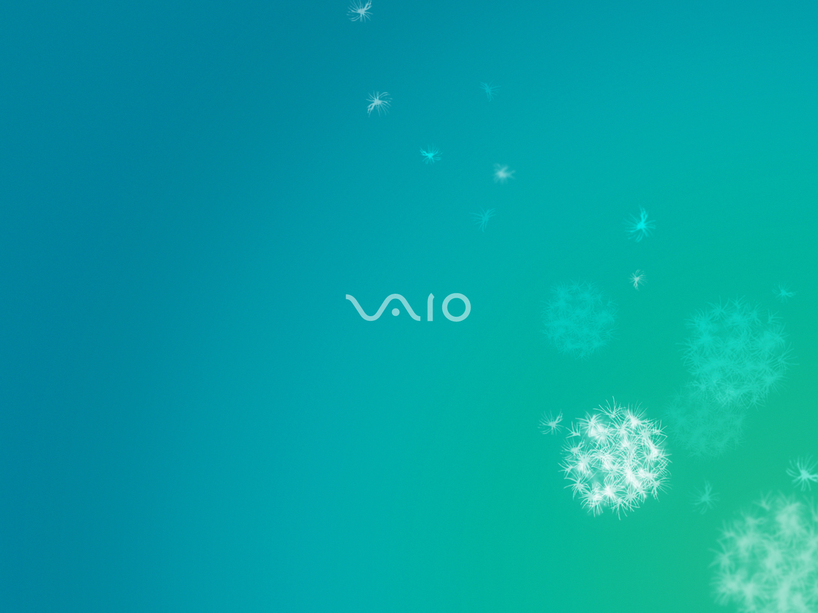 Sony Vaio 10 Wallpapers Wallpapers Hd