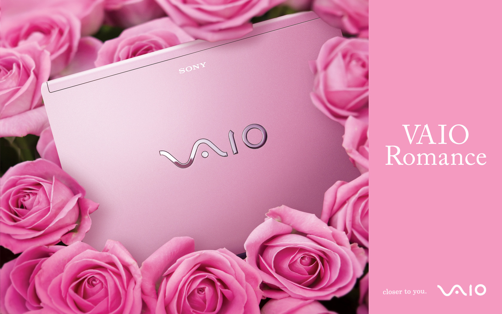 Sony Vaio Romance Wallpapers Wallpapers Hd