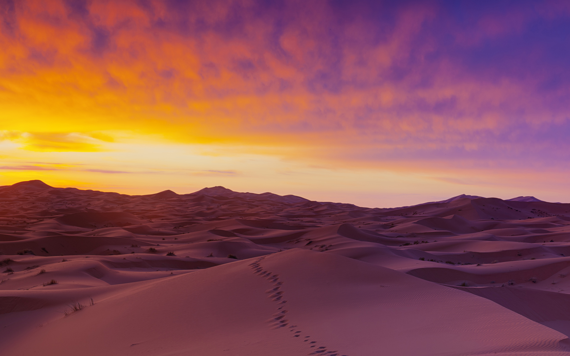 Sahara Desert S Dunes Wallpapers Wallpapers HD