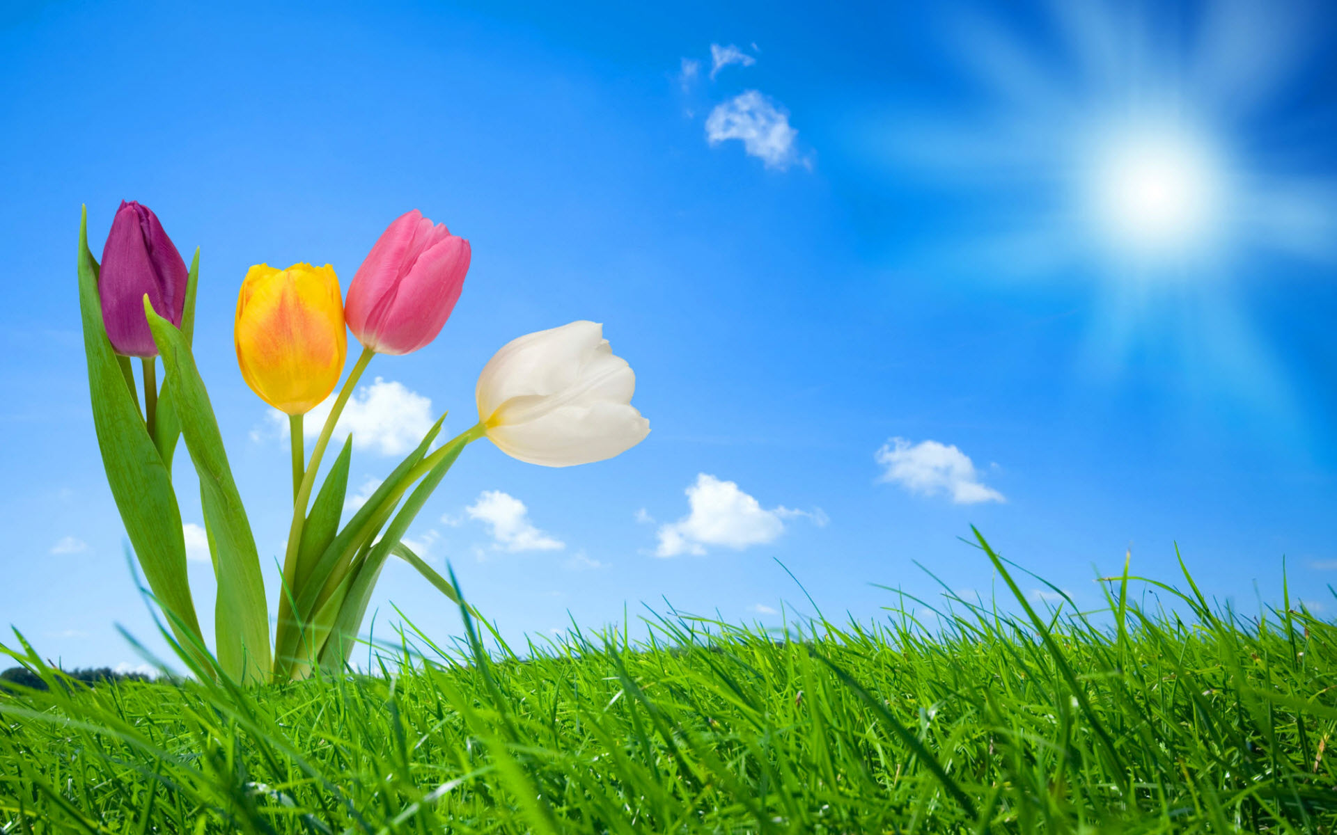 Spring Nature Facebook Covers | Wallpapers HD