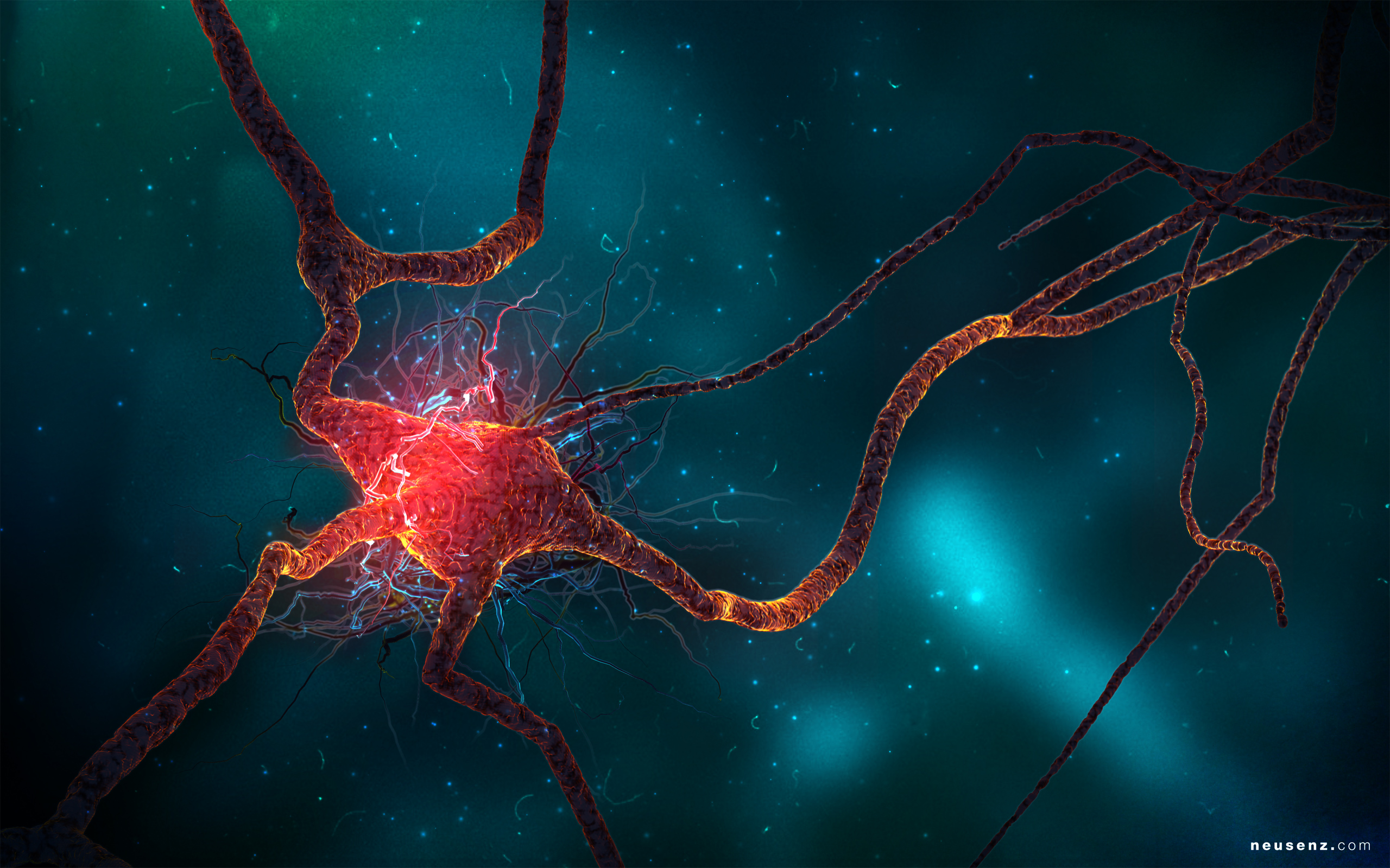Neuron Cell Wallpapers | Wallpapers HD