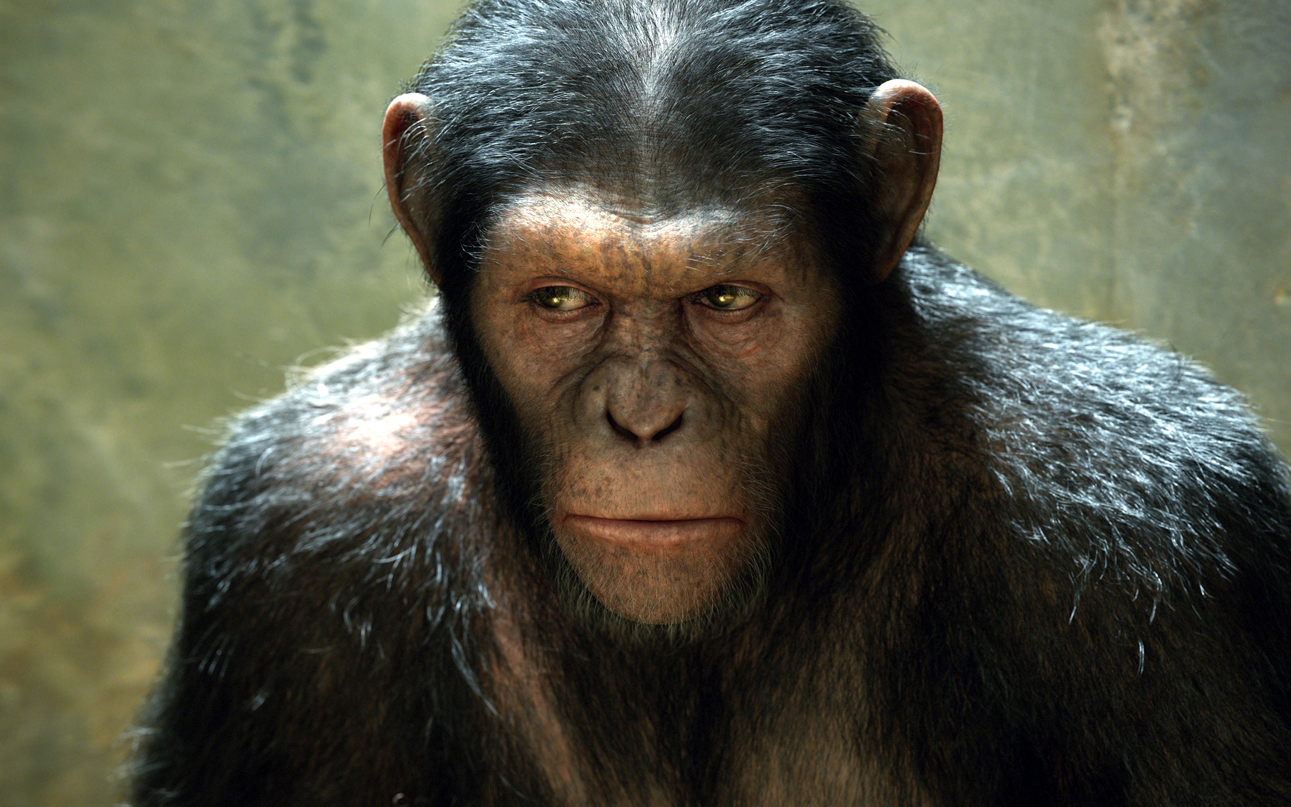 Rise of the Planet of the Apes - Wikipedia