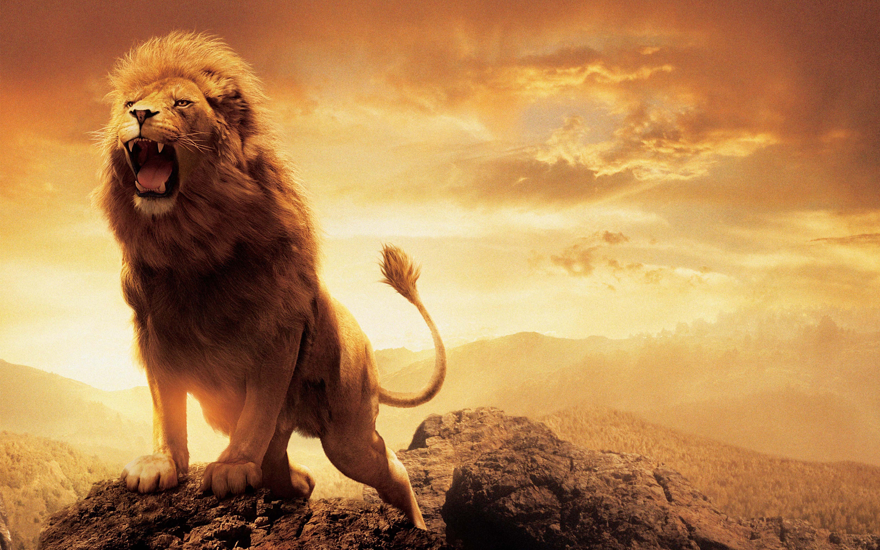 Программные шарики из воска.  Narnia_lion_aslan-widescreen_wallpapers