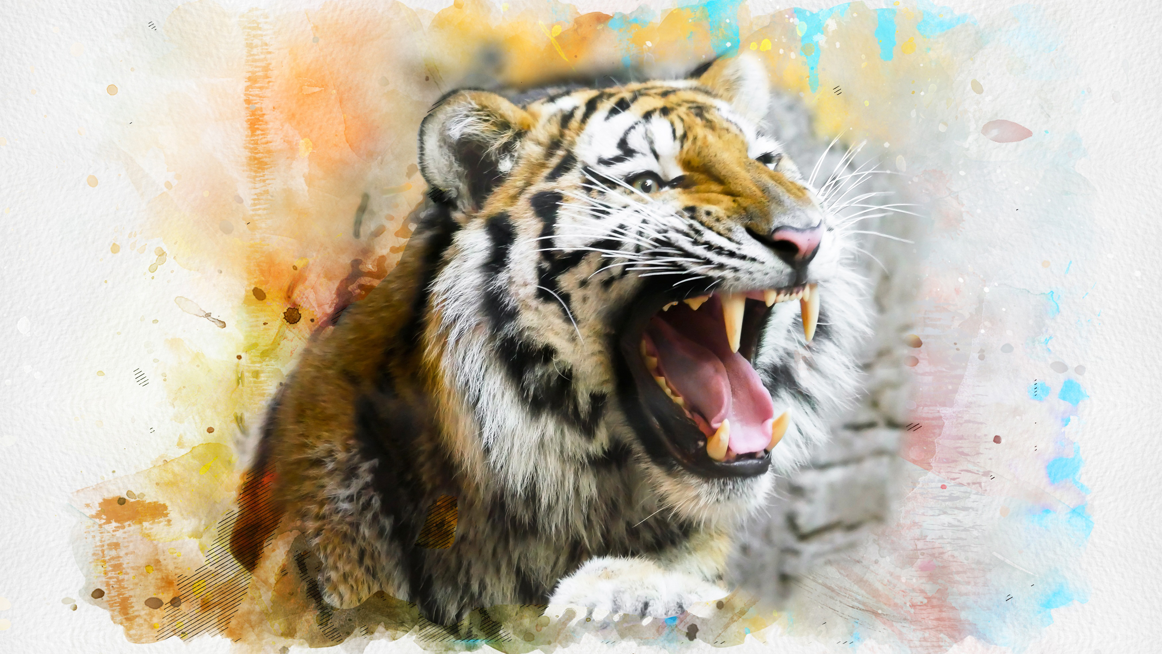 white tiger by anjasp3 on deviantart on tiger drawing wallpapers