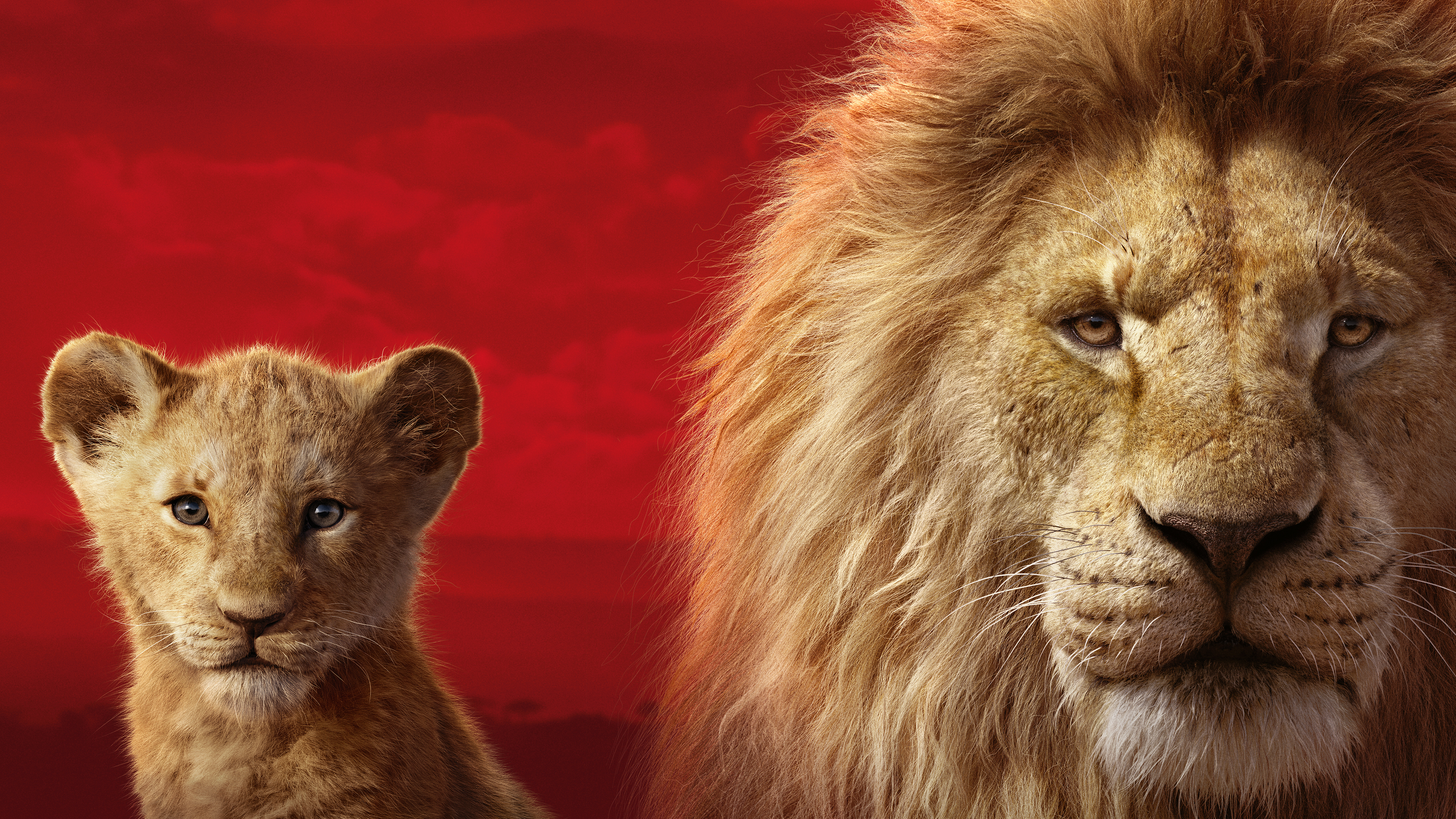 Simba Mufasa in The Lion King 5K Wallpapers | Wallpapers HD
