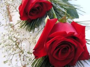 Red Roses