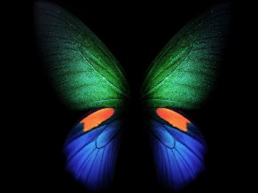 Samsung Galaxy Fold Butterfly 4K