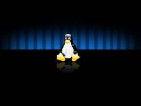 Linux Widescreen