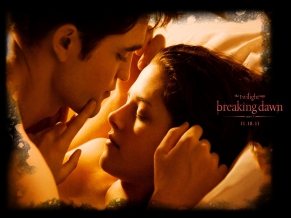 2011 Twilight Saga Breaking Dawn Part1