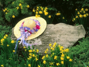 Among the Daffodils