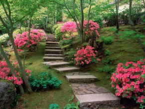 Azaleas Japanese Garden