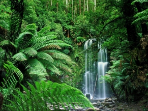 Beauchamp Falls Australia