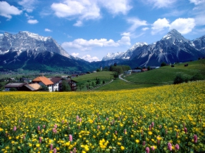 Countryside Splendor France