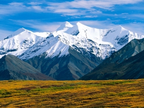 Denali National Park Alaska