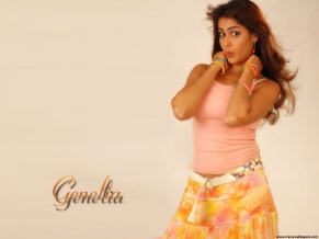 Genelia 234