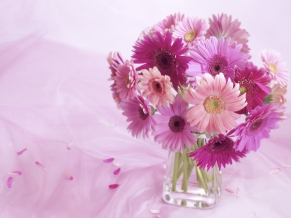 Gerbera Daisy Arrangement