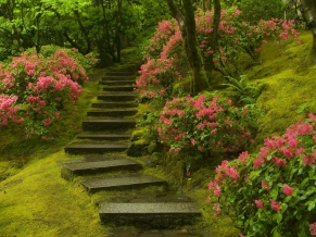 Japanese Garden Washington Park