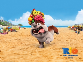 Luiz Bulldog in Rio