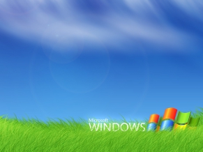 Microsoft Windows