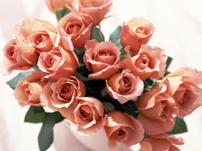 Roses Bunch