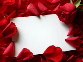 Roses Love Letter
