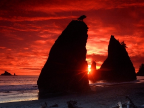 Sea Stacks Knife a Blood Red Sky