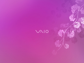 Sony VAIO 6